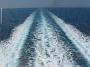 0020 Veerboot Corsica